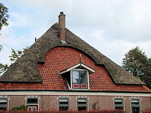 Partially thatched roof