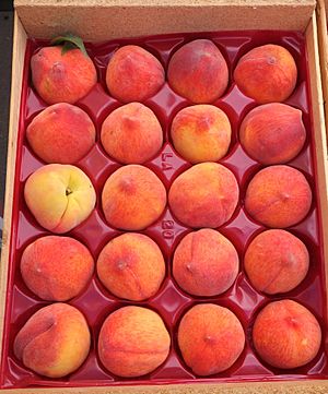 Peaches - Farmer's Market at the Ferry Building - San Francisco, CA - DSC03560