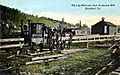 Peg Leg Railroad, Quit Business 1880, Bradford, PA