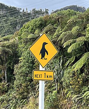 Penguin crossing MRD