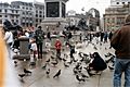 People feeding pigeons in Trafalgar Square c.1993