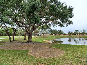 Hunter Park
