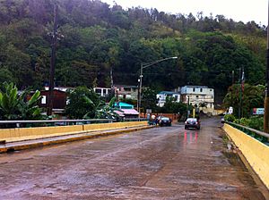 Bridge over Río Grande in Jayuya (PR 141R), entrance to barrio-pueblo on the left