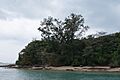 Pulau Seringat, Singapore - 20110227-02