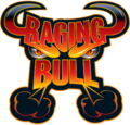 Raging Bull Logo