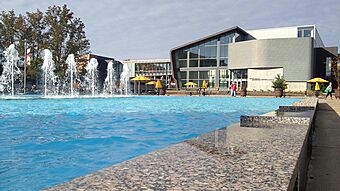 Richmond Center for Visual Arts, Western Michigan University, Kalamazoo, Michigan, front of building from fountain, fall 2012.jpg