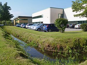 River Croco on the Business Park (geograph 3525580)
