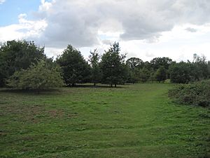 Rowley Lodge Field 1