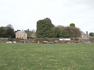 RuinsStevenstoneHouseDevon