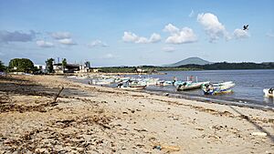 Puerto Caimito