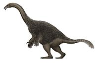 Segnosaurus Restoration.jpg