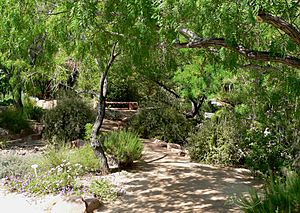 Springs Preserve garden path
