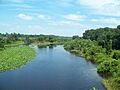 Starkes Ferry Ocklawaha River north01