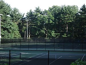 Tennis courts at Brookdale Park (2006)