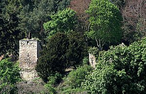 The remains of Blanerne Castle near Edrom - geograph.org.uk - 1288674