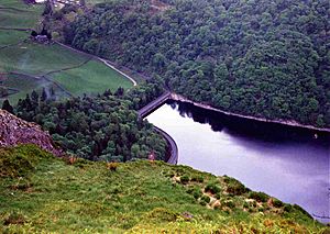 Thirlmere Dam from Raven Crag