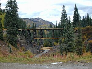 Trout Lake Railroad Trestle