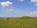 Tumulus, White Sheet Hill - geograph.org.uk - 909706