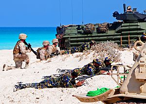 US Navy 091012-N-8132M-245 Marines assigned to the 22nd Marine Expeditionary Unit (22nd MEU), along with Marines from Kuwait and Pakistan, conduct an amphibious assault demonstration during Exercise Bright Star 2009