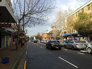 Waterloo NSW 2017, Australia - panoramio (42)
