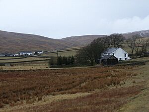 White cottages, Harwood - geograph.org.uk - 135274