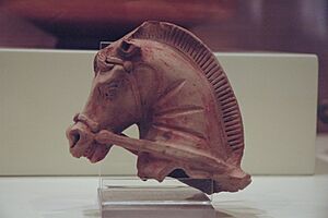Çorum museum Ceramic fragment 3237