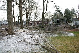 20081214-shrewsbury-ice-storm-damage-looking-south-2