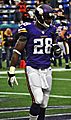 Adrian Peterson 2013