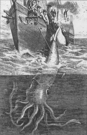 Alecton giant squid 1861