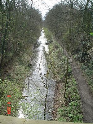 Barnsley Canal near Overtown