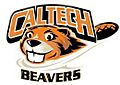 Beaver logo NEW