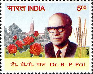 Benjamin Peary Pal 2008 stamp of India.jpg
