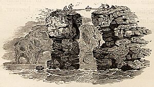 Bird's Eggs from Sea-Cliffs tail-piece in Bewick British Birds 1804