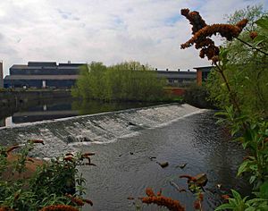 Brightside weir on the River Don - geograph.org.uk - 1250933