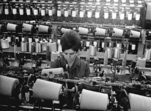 Bundesarchiv Bild 183-J0330-0016-001, Sächsisches Kunstseidenwerk Pirna, (cropped)