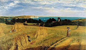 Burchett sandown trimmed