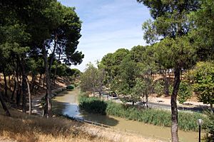 Canal Imperial de Aragón (Pinares de Venecia)