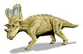Chasmosaurus BW