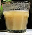 Chicha de Jora