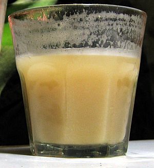 Chicha de Jora