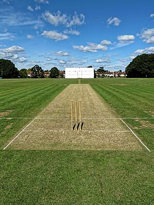 Church Times Cricket Cup final 2019, Wicket 3