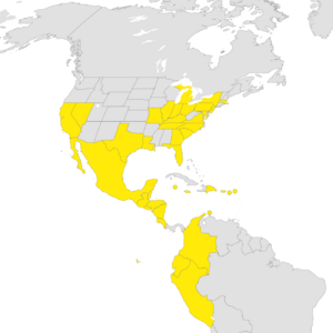 Countries and US states served by Spirit Airlines