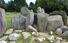 County Kilkenny - Knockroe Passage Tomb - 20190909104959.jpg
