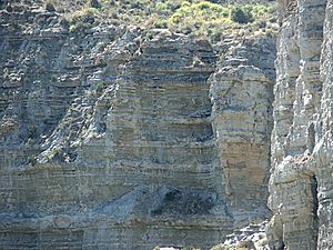 Cyclic deposits