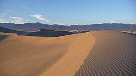 Death Valley - Mesquite Flat Dunes - dune showing stoss, brink and slip surfaces.JPG
