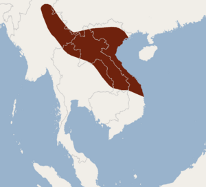 Distribution of Kerivoula kachinensis.png