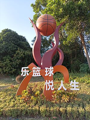 DongguanBasketball