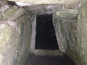 Dowth chamber entrance 2014 2