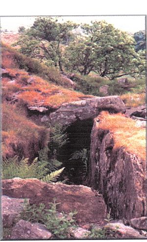 Druid's Grave - Cuff Hill