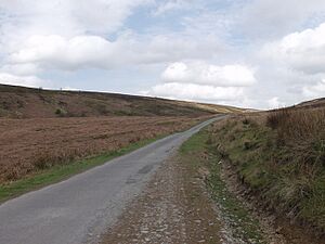 Esclusham Mountain Road - geograph.org.uk - 166135